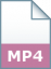 MPEG-4 Video File Format